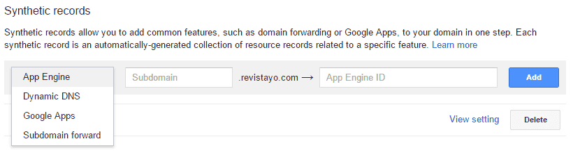 Synthetic Records Google Domains